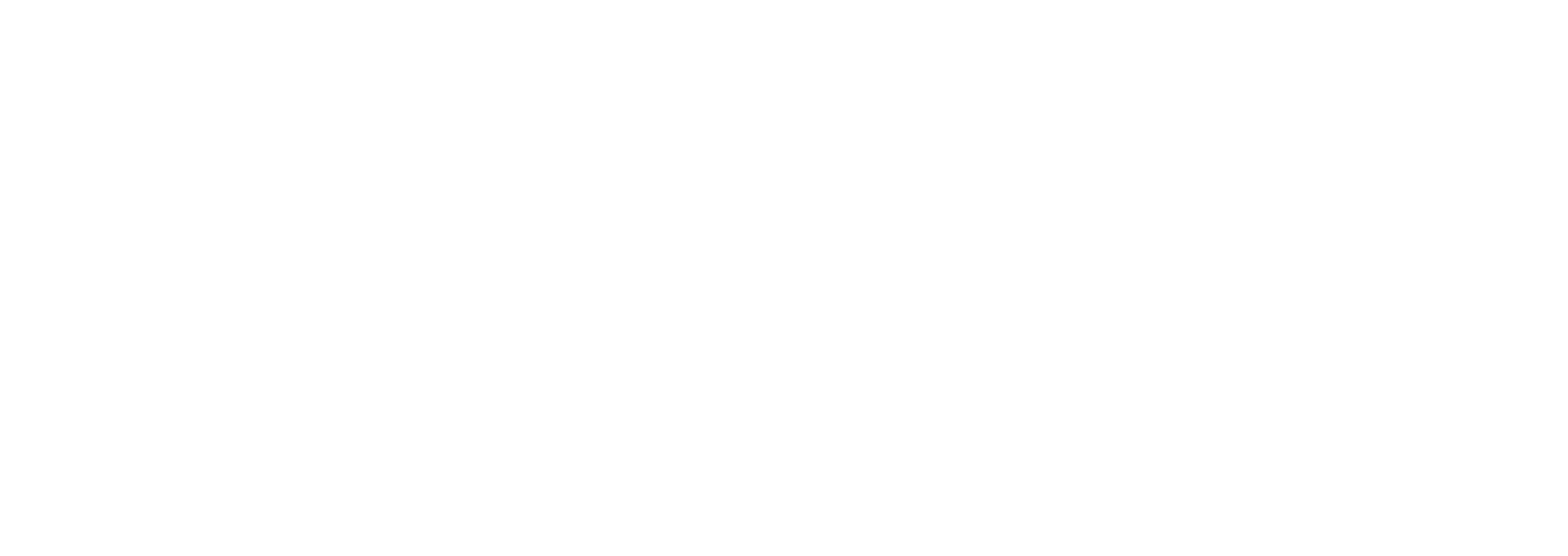 Xan Cargo Logo